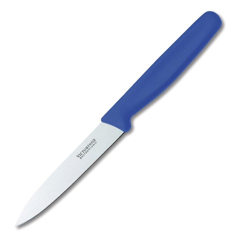 Couteau avec lame de scie avec ustensile de cuisine manche bleu